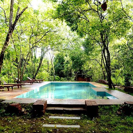 Mahagedara Wellness Retreat Hotel Avudangawa Ngoại thất bức ảnh