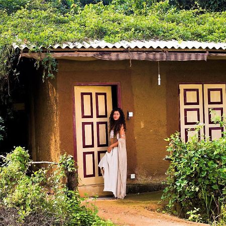 Mahagedara Wellness Retreat Hotel Avudangawa Ngoại thất bức ảnh