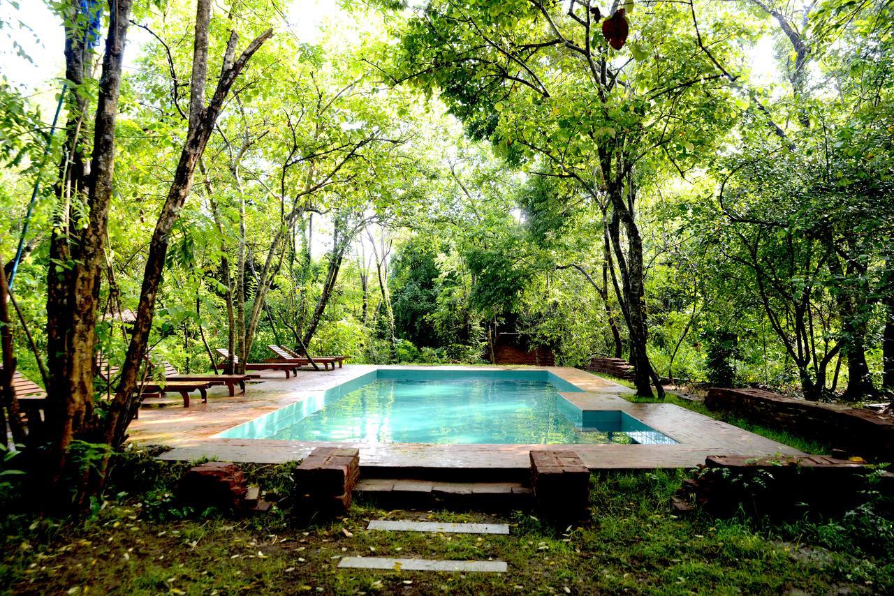 Mahagedara Wellness Retreat Hotel Avudangawa Ngoại thất bức ảnh