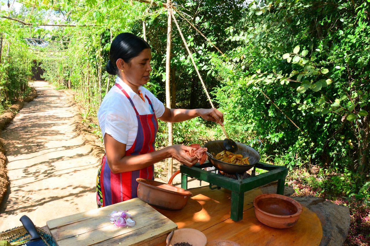 Mahagedara Wellness Retreat Hotel Avudangawa Ngoại thất bức ảnh