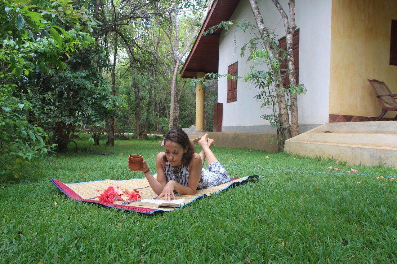 Mahagedara Wellness Retreat Hotel Avudangawa Ngoại thất bức ảnh