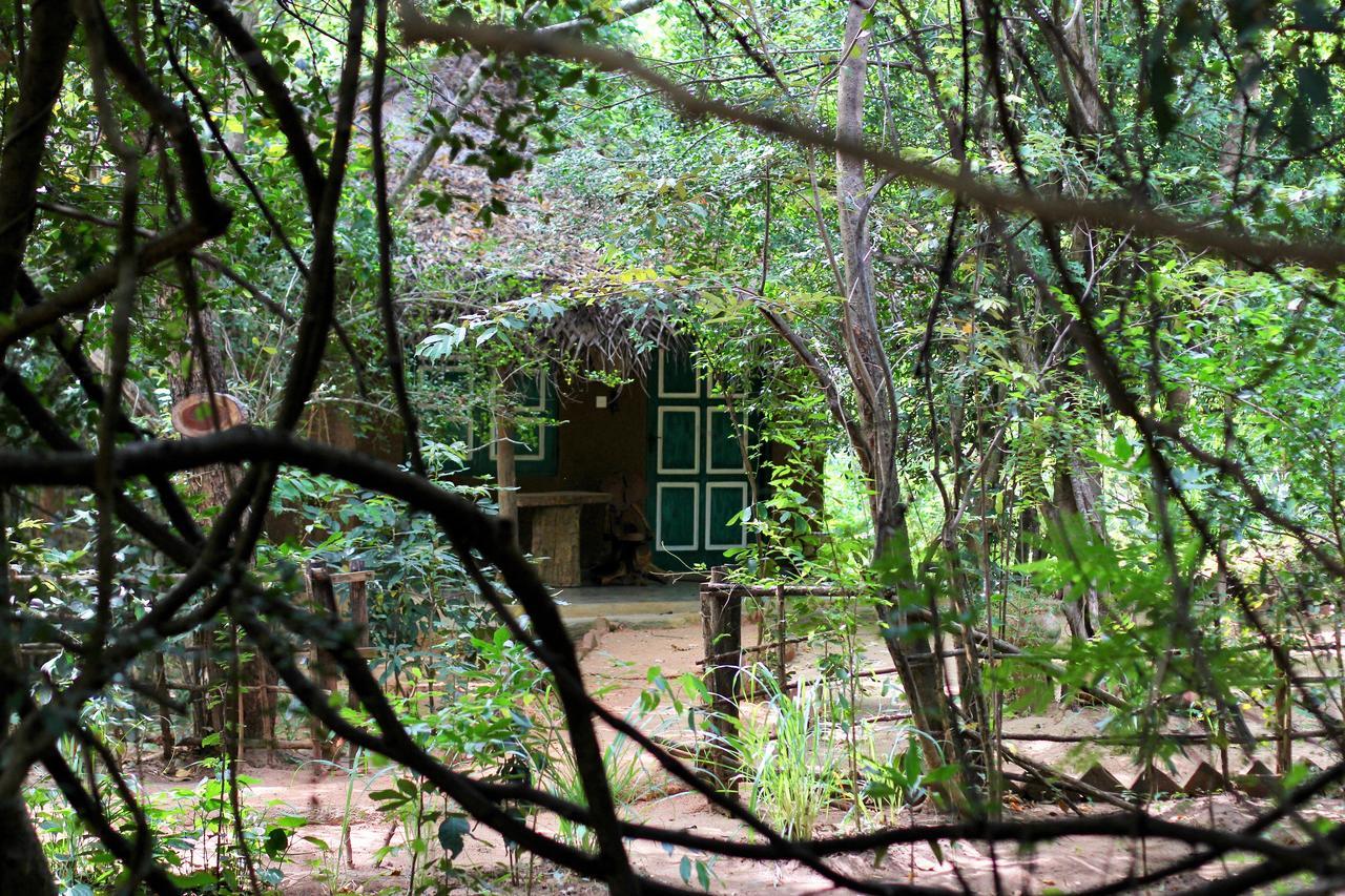 Mahagedara Wellness Retreat Hotel Avudangawa Ngoại thất bức ảnh