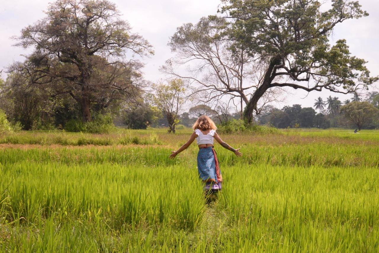 Mahagedara Wellness Retreat Hotel Avudangawa Ngoại thất bức ảnh